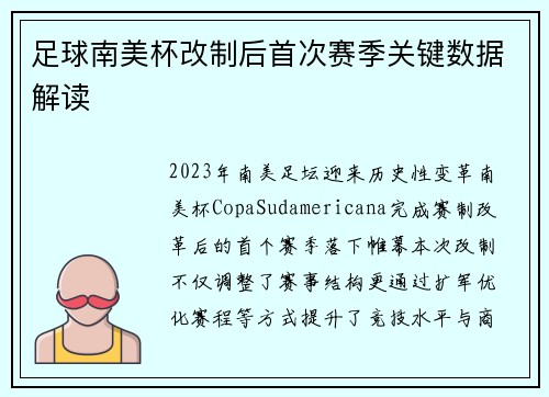 足球南美杯改制后首次赛季关键数据解读